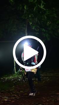 BIB:  <button type="button" onclick="openModal(27808661)" class="btn btn-primary btn-sm float-right" data-toggle="modal" data-target=".modal-high-quality">
                <i class="fa fa-download"></i> Download
                </button>